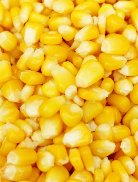 Foods in granulate form